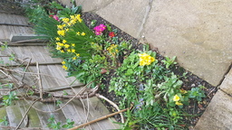 thumb_20220313_095416.jpg