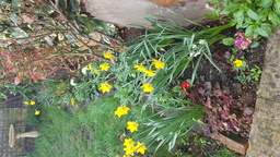 thumb_20220313_095616.jpg