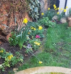 thumb_20220313_124615.jpg