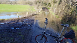 thumb_20220317_101225.jpg