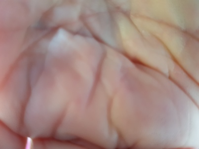 thumb_20220409_110810.jpg