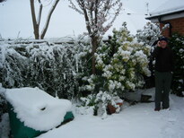 thumb_08044snow_CBay_010.jpg