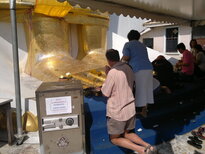 thumb_09012011464.jpg