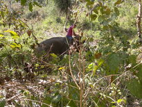 thumb_200220111178.jpg