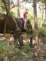 thumb_200220111179.jpg
