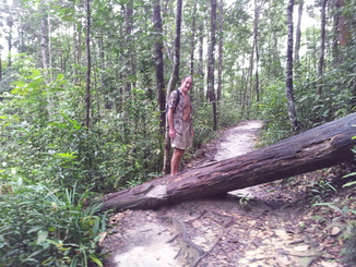 thumb_2011-Sumatra_253.jpg