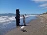 thumb_2014-12-31_16.51.32.jpeg