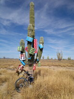 thumb_24112010104.jpg