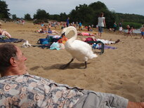 thumb_Frensham_Wales_and_rooms_036.jpg