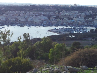 thumb_20120916_003940.jpg