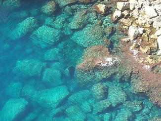 thumb_20120918_180308.jpg