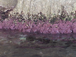 thumb_20120918_182446.jpg