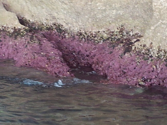 thumb_20120918_182452.jpg