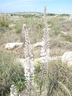 thumb_20120918_192259.jpg