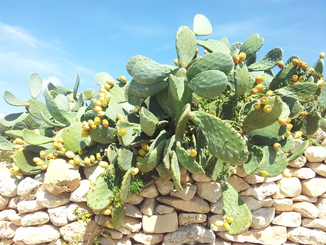thumb_20120918_192631.jpg