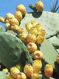 thumb_20120918_192719.jpg