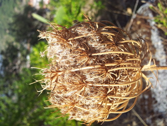 thumb_20120923_093126.jpg