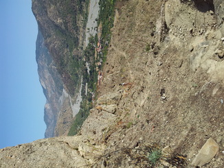 thumb_20120923_094322.jpg