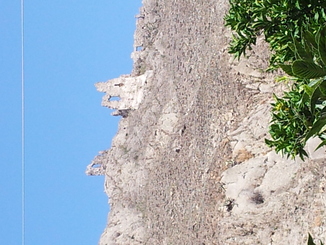 thumb_20120923_103223.jpg