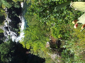 thumb_20120923_103458.jpg
