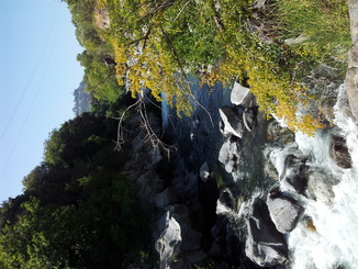 thumb_20120923_104312.jpg
