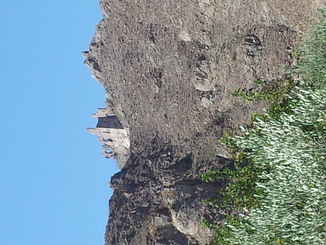 thumb_20120923_110533.jpg