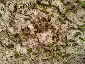 thumb_20120926_094828.jpg