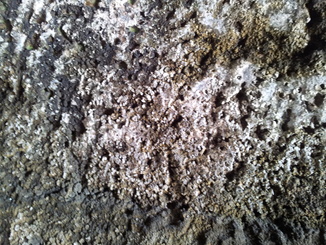 thumb_20120926_094945.jpg
