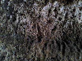 thumb_20120926_094959.jpg