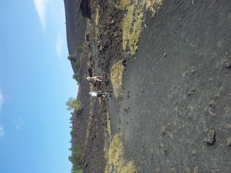 thumb_20120927_091214.jpg