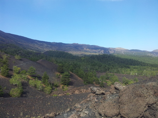 thumb_20120927_092310.jpg