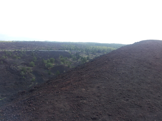 thumb_20120927_092700.jpg