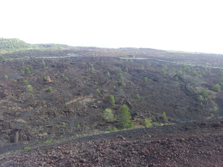 thumb_20120927_092710.jpg