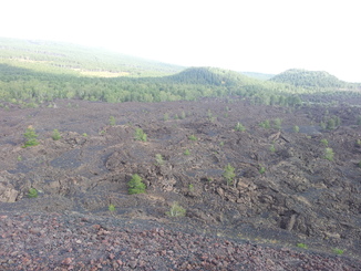 thumb_20120927_092718.jpg