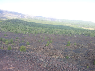 thumb_20120927_092727.jpg