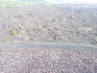 thumb_20120927_092755.jpg