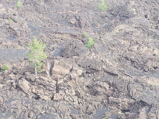 thumb_20120927_092808.jpg