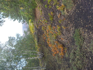 thumb_20120927_095036.jpg