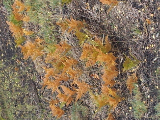 thumb_20120927_095052.jpg