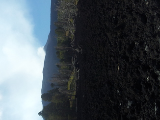 thumb_20120927_111508.jpg