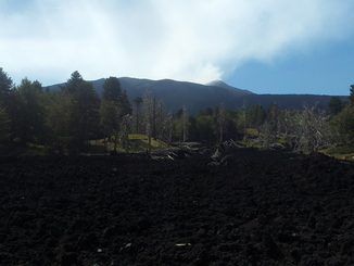 thumb_20120927_111546.jpg