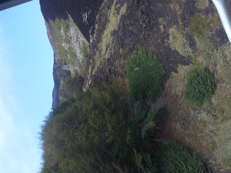 thumb_20120927_113209.jpg