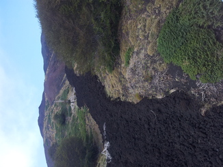 thumb_20120927_113229.jpg