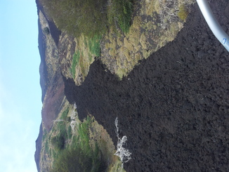 thumb_20120927_113235.jpg