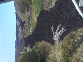 thumb_20120927_113243.jpg