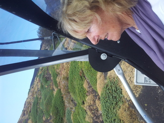 thumb_20120927_113325.jpg
