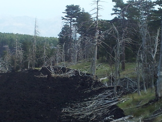 thumb_20120927_121255.jpg