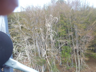 thumb_20120927_121357.jpg