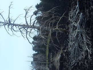 thumb_20120927_121436.jpg