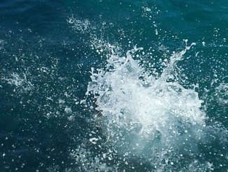 thumb_20121002_134013.jpg